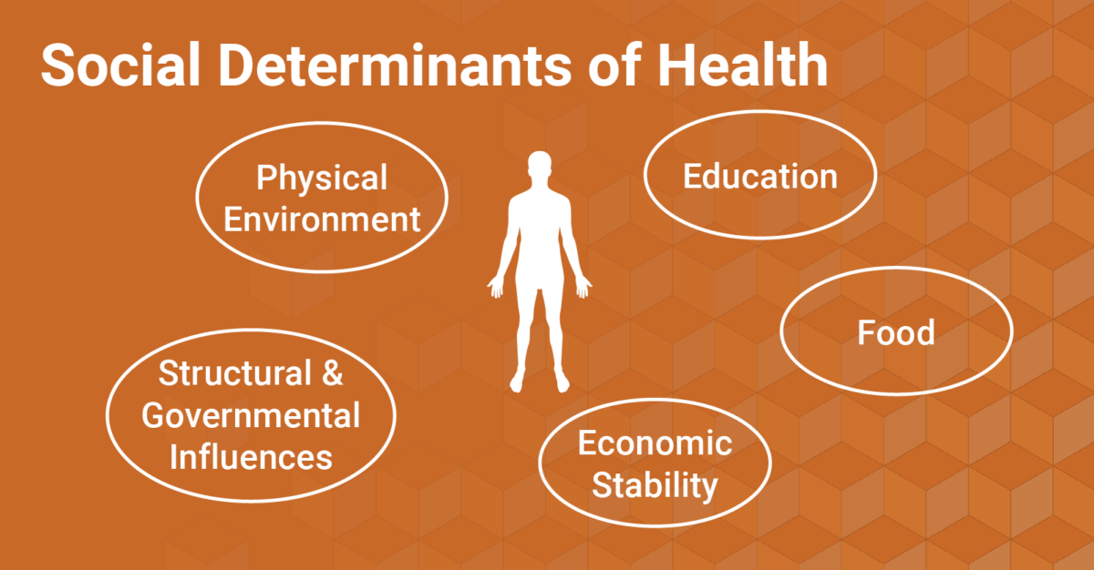 Graphic depicting five social determinants of health: physical environment, structural & governmental influences, education, food, and economic stability