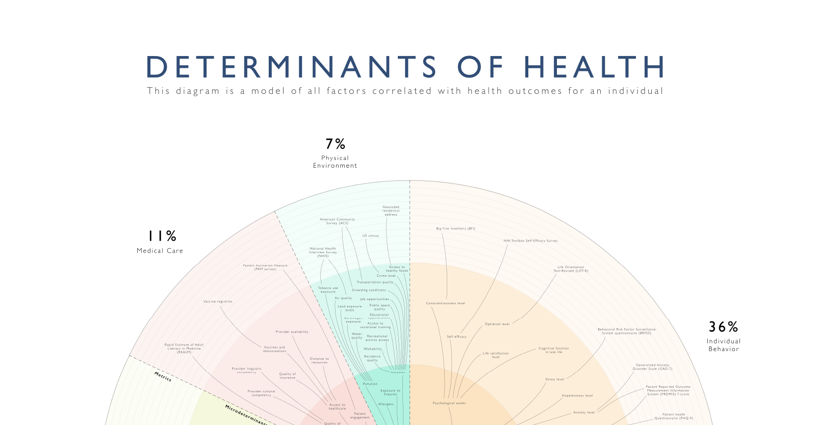 Graphic displaying social determinants of health