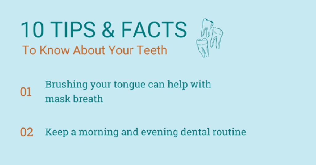 Graphic - 10 tips & facts for your teeth