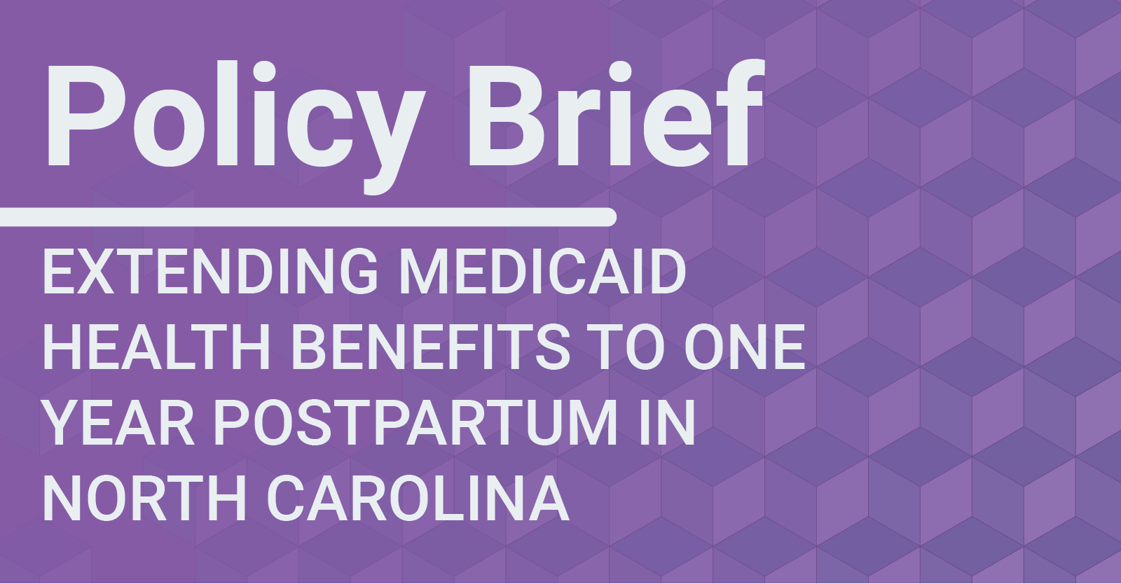 Policy Brief: Postpartum Medicaid Coverage in North Carolina
