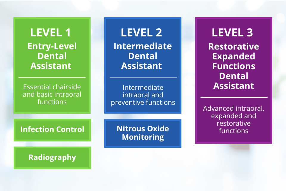 The Three Levels of Dental Assistant